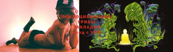 бошки Алексин