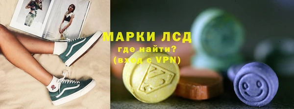 хмурый Алзамай