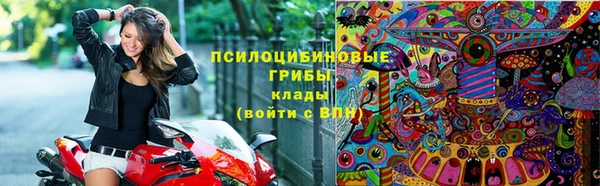 эйфоретик Алексеевка