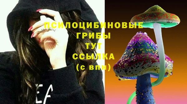 хмурый Алзамай