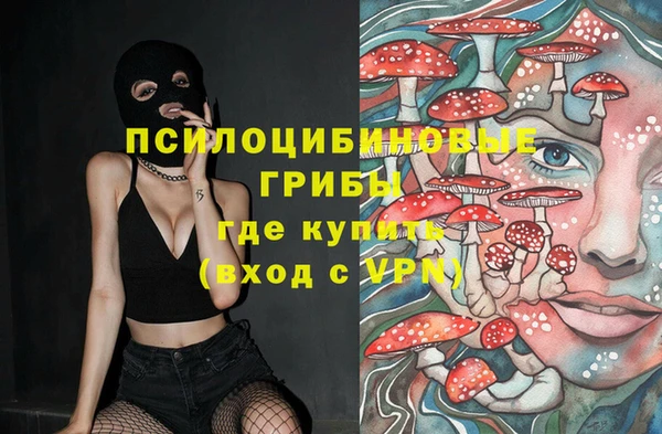 бошки Алексин